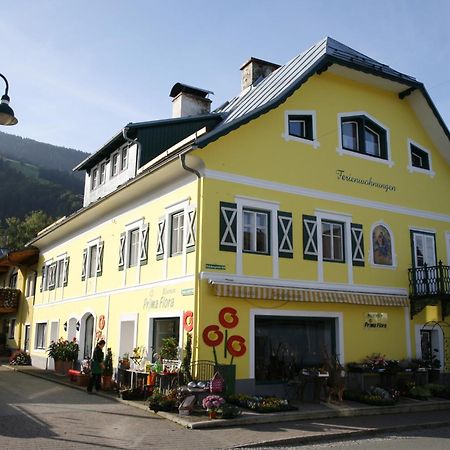 Ferienappartement Royer Schladming Luaran gambar