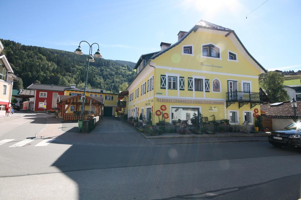 Ferienappartement Royer Schladming Luaran gambar